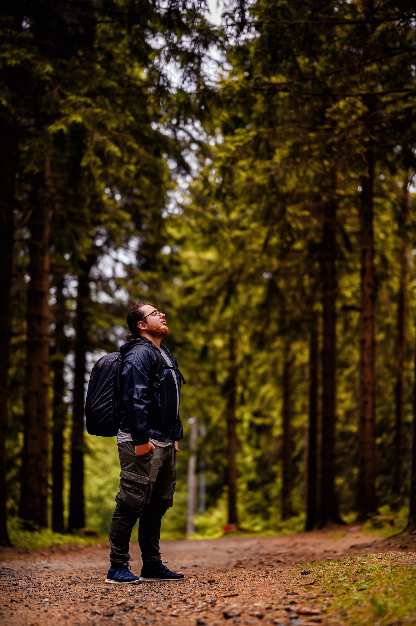 Tall man in black with backpack standing on road in forest enjoying nature